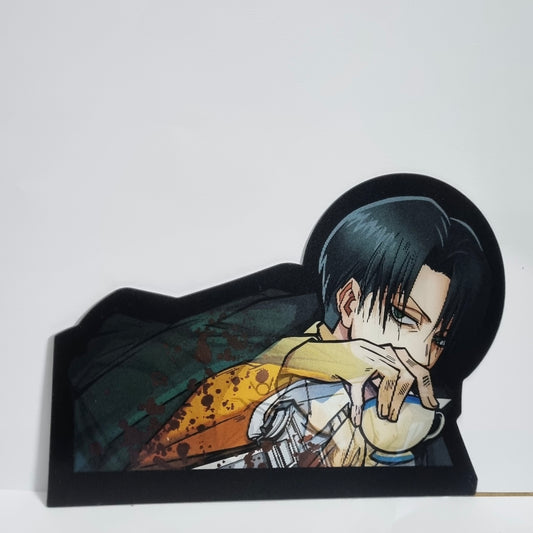 AOT 3D holographic stickers